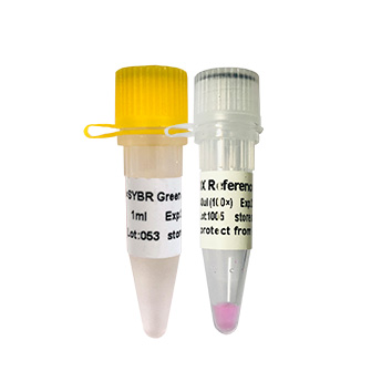 GDSBio（东盛）  SYBR Green qPCR Mix