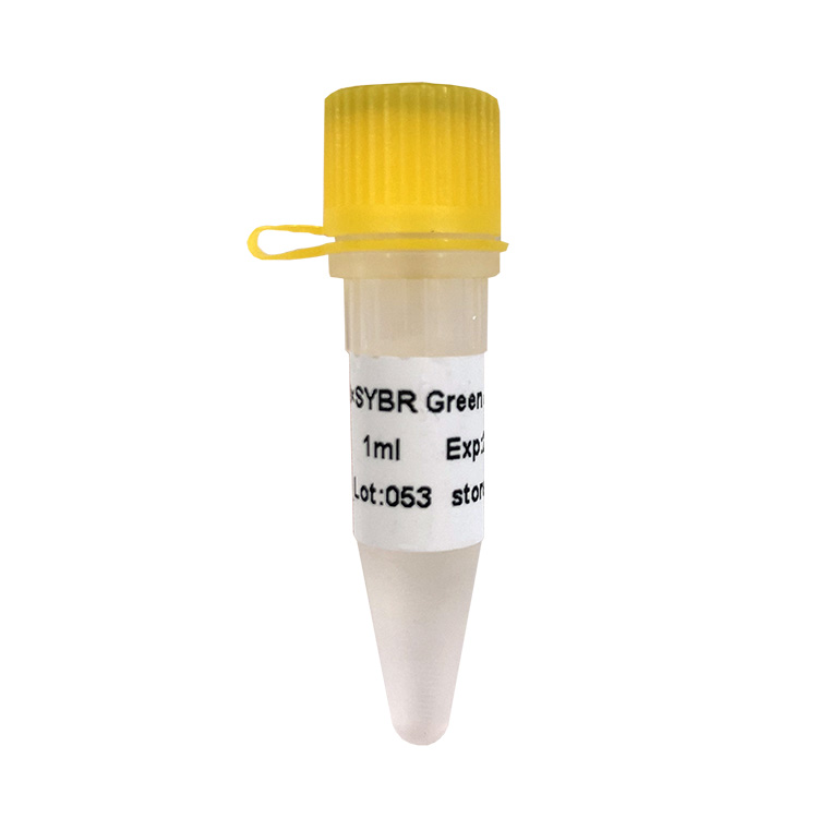 SYBR Green qPCR Mix(P2091-P2092-P2093-P2094-P2095)